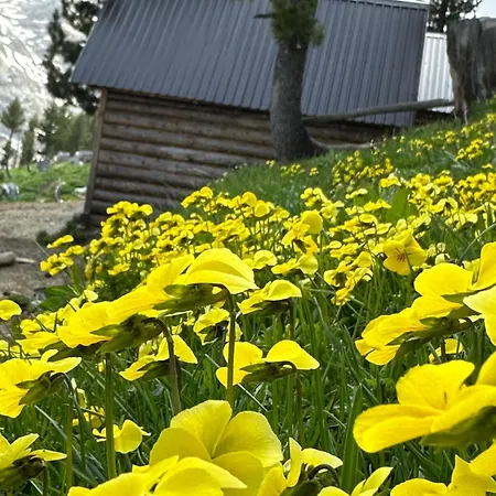 Guest House Kolata View Tropoje Exterior photo