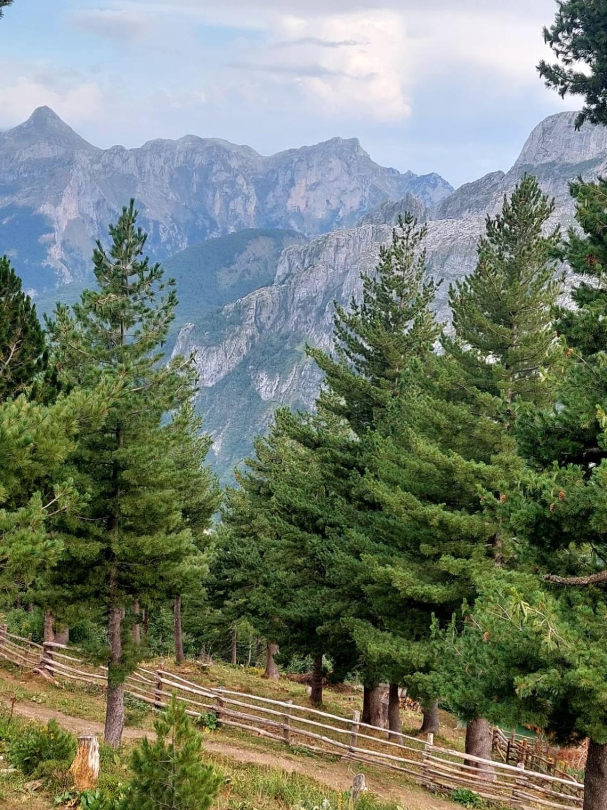 Kolata View Chalet Tropoje