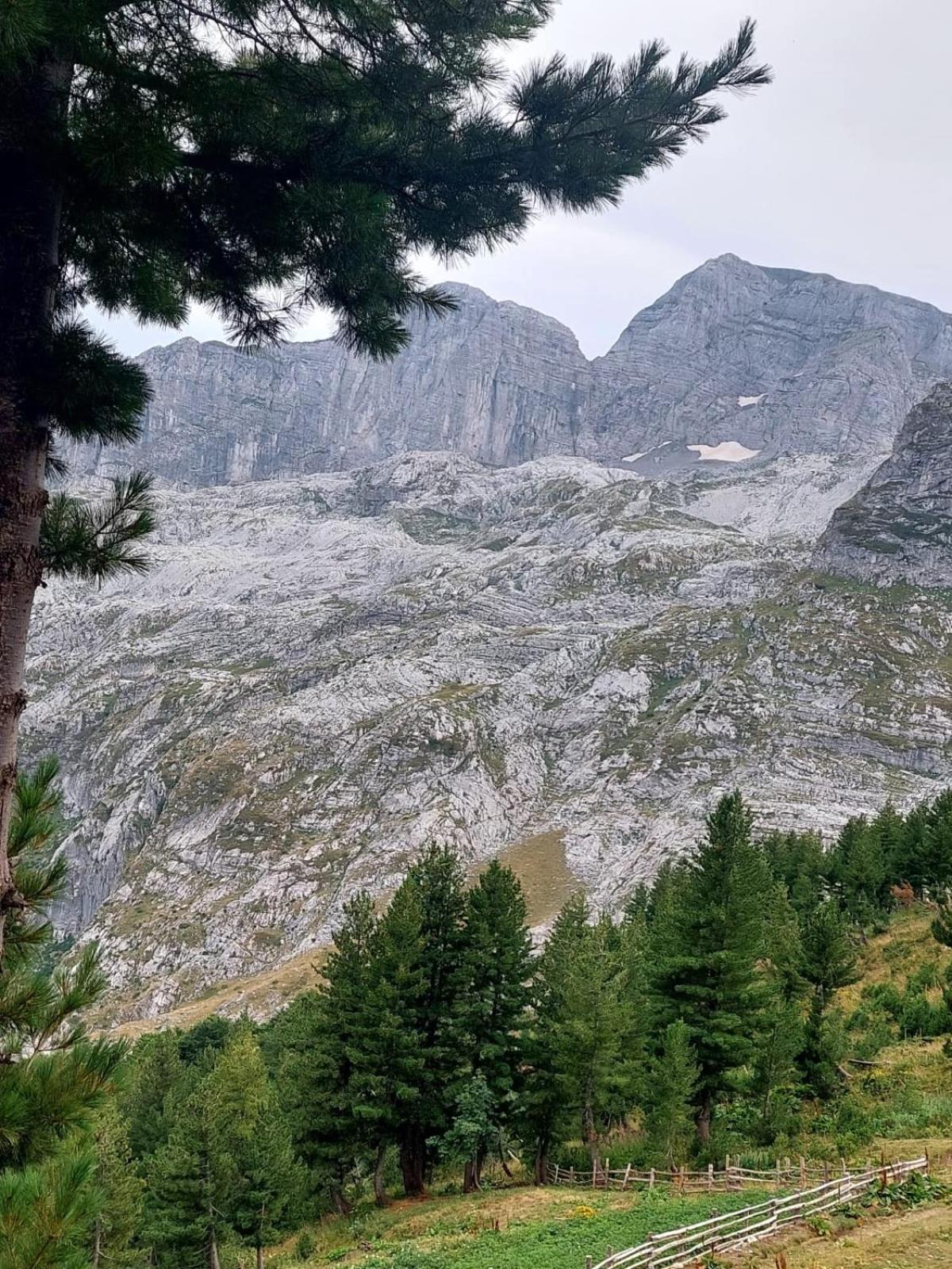 Chalet Kolata View *
