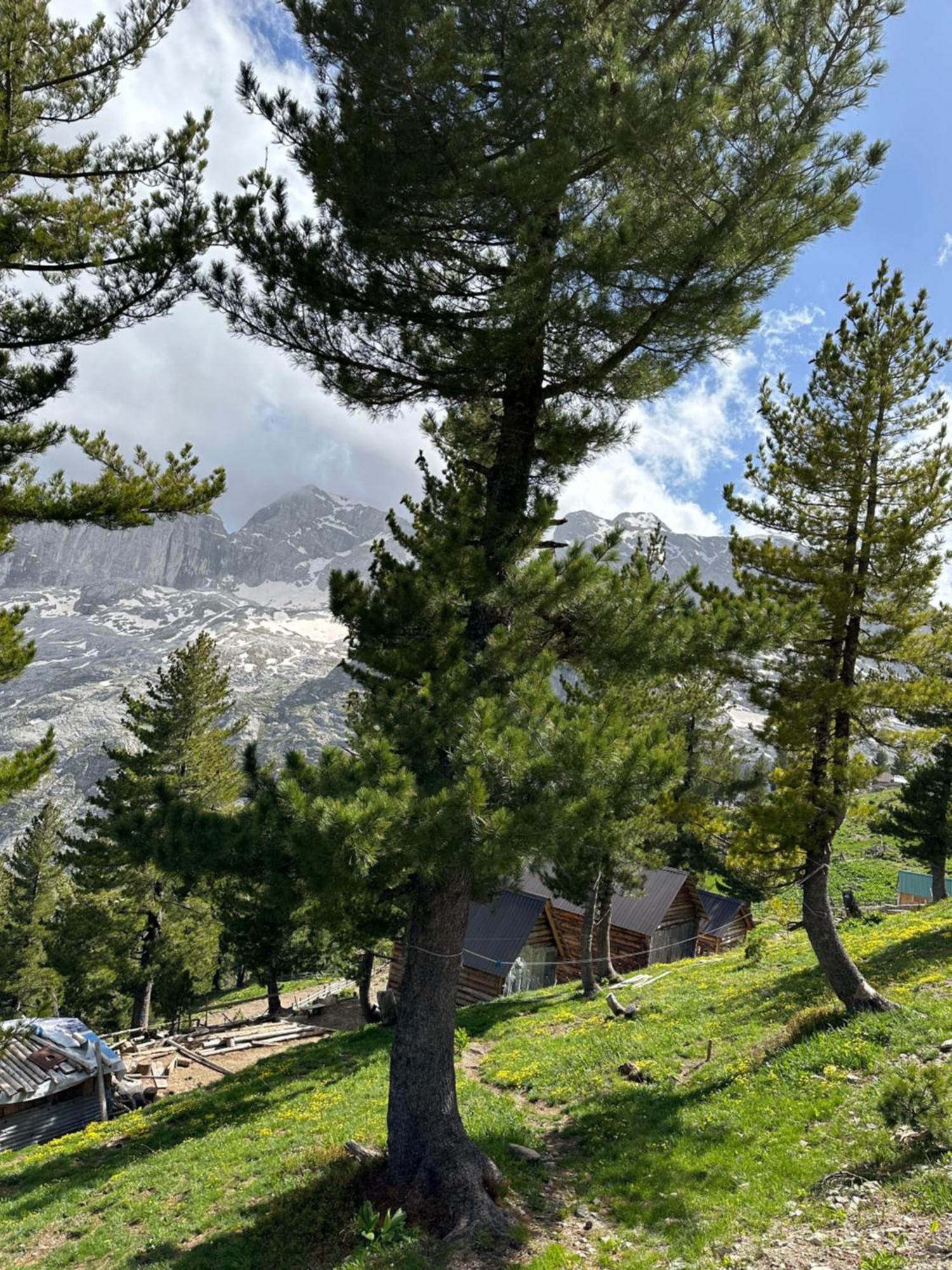 Kolata View