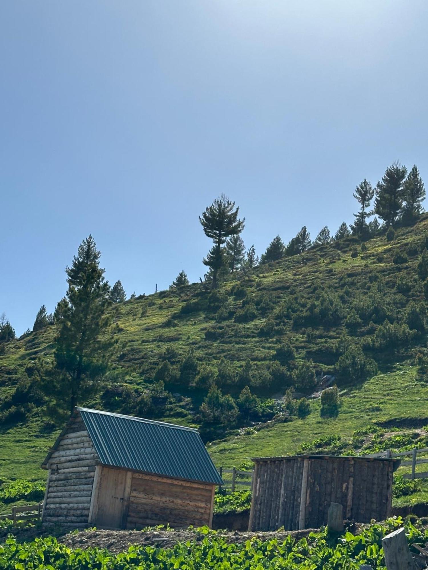 Chalet Kolata View Tropoje
