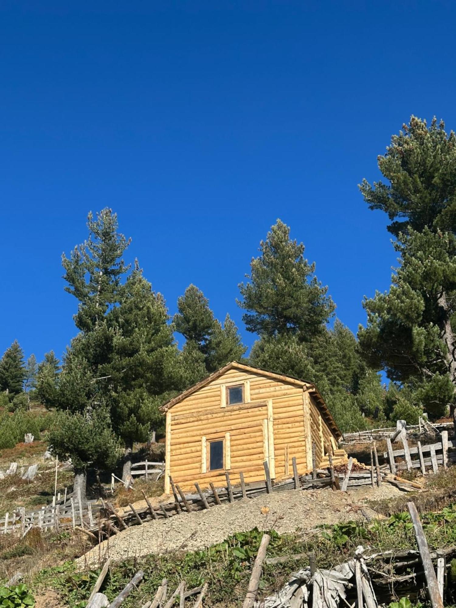 Chalet Kolata View